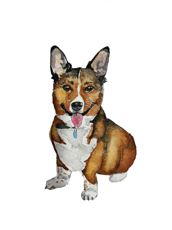Custom pet portrait
