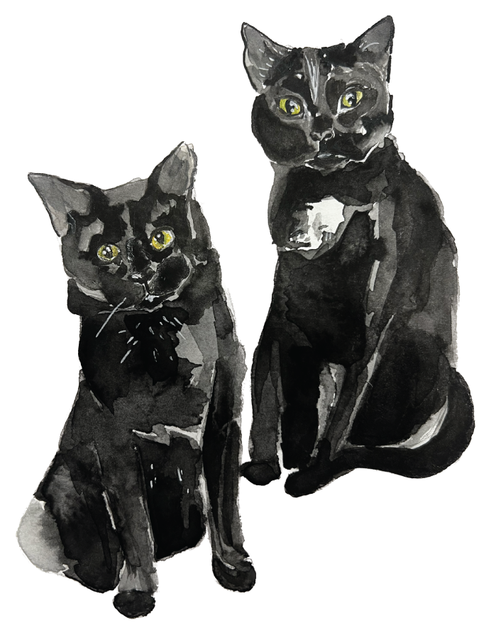 Custom pet portrait (7"x10")